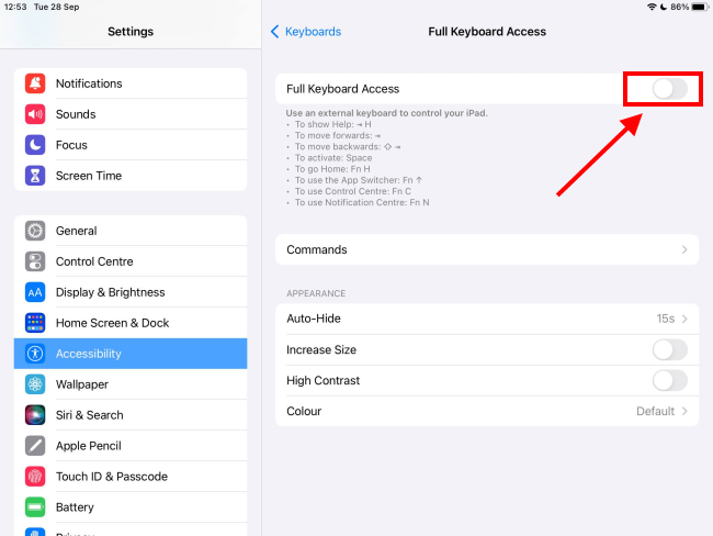 Tap the toggle switch for Full Keyboard Access